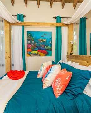 The Caribbean at Your Window